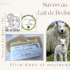 Lait de Brebis 20%