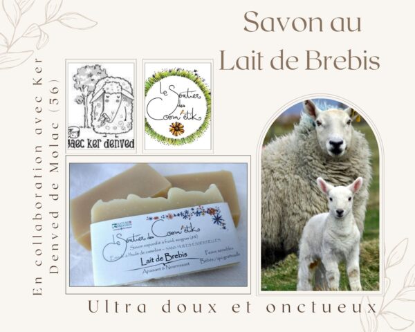 Lait de Brebis 20%