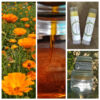 Stick lèvre Calendula