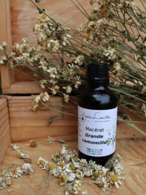 Macérat huileux de Grande camomille solarisé