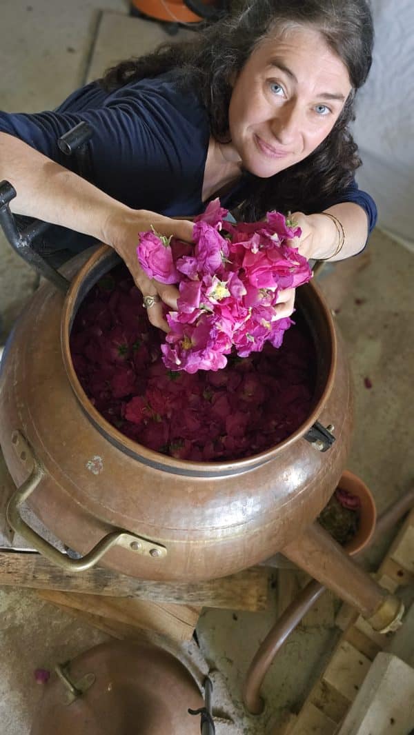Eau florale de Rose de Provins