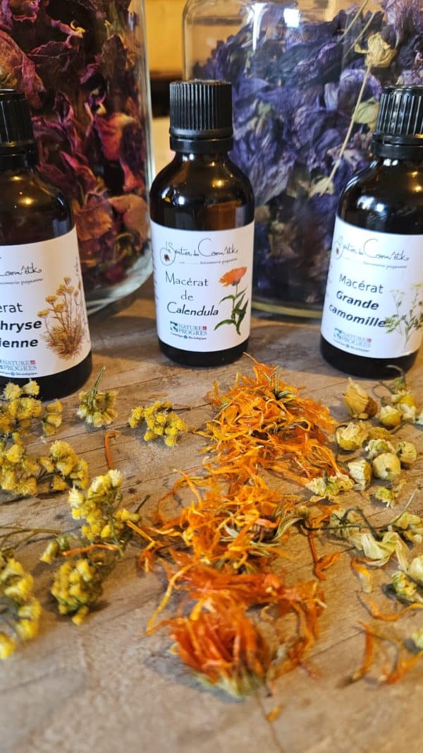 Ensemble de macérats huileux artisanaux réalisés à partir de fleurs cultivées à la ferme, en bocaux de verre, prêts à être utilisés en cosmétique naturelle.