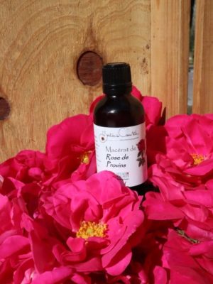 Macérat huileux de Rose solarisé