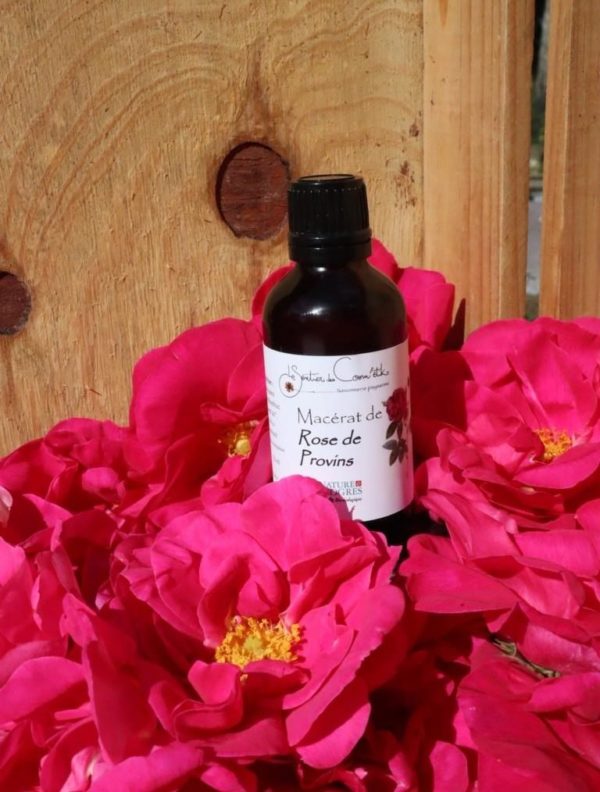 Macérat huileux de Rose solarisé