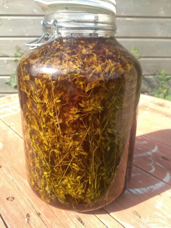 Macérat de fleur de Millepertuis