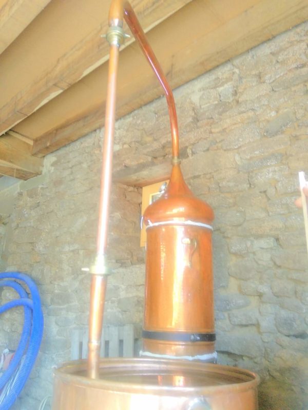 Savon aux algues marines