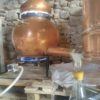 Eau florale de Géranium Bourbon