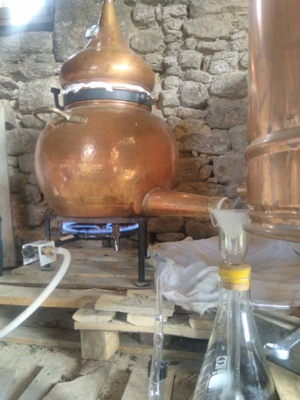Eau florale de Géranium Bourbon